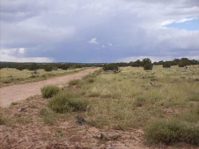 St-johns Az 85936 Ranch St. Johns, AZ 85936 - Photo 3 of 4