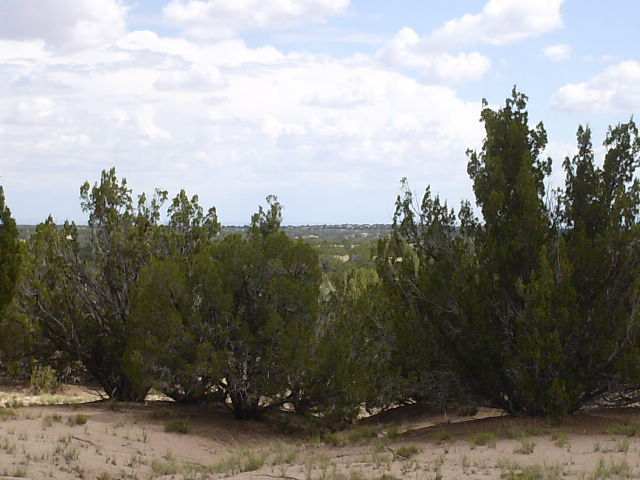 St-johns Az 85936 Ranch St. Johns, AZ 85936 - Photo 4 of 4