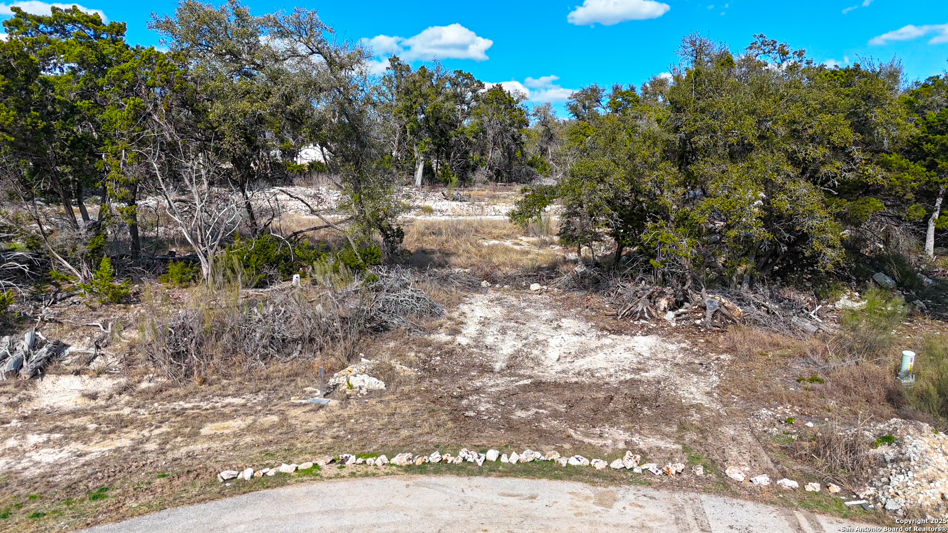 2015 Brunello New Braunfels, TX 78132 - Photo 4 of 44