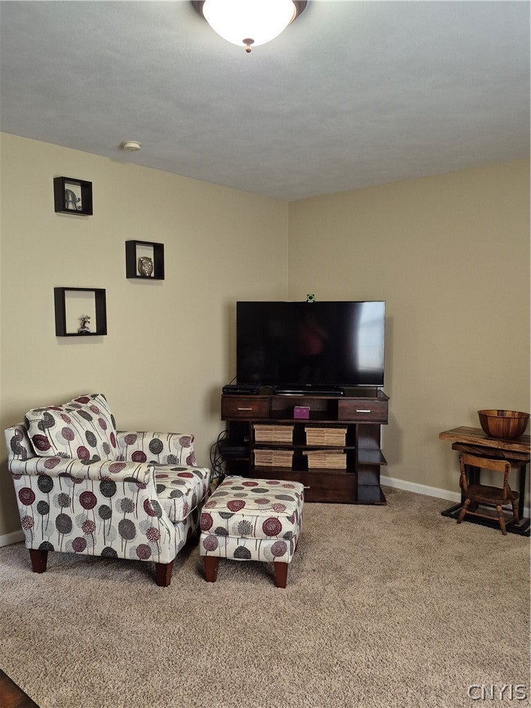 110 Cedarcrest Lane Oneida, NY 13421 - Photo 20 of 50 Gallery Image 20