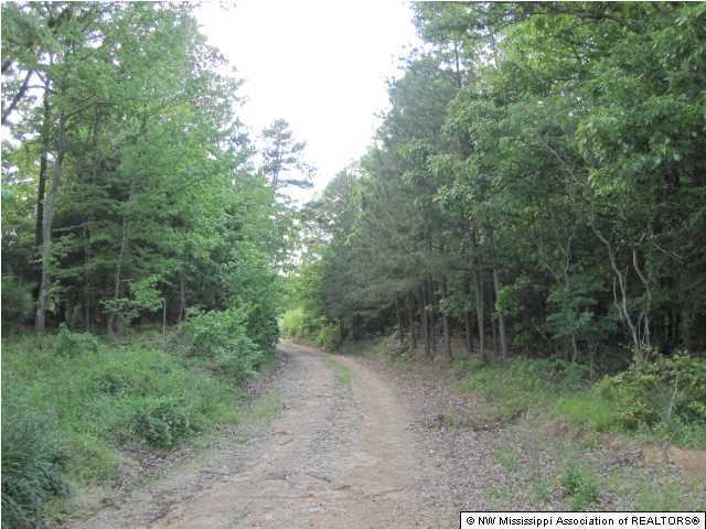 405 South Slayden Road Lamar, MS 38642 - Photo 1 of 20 Primary Photo