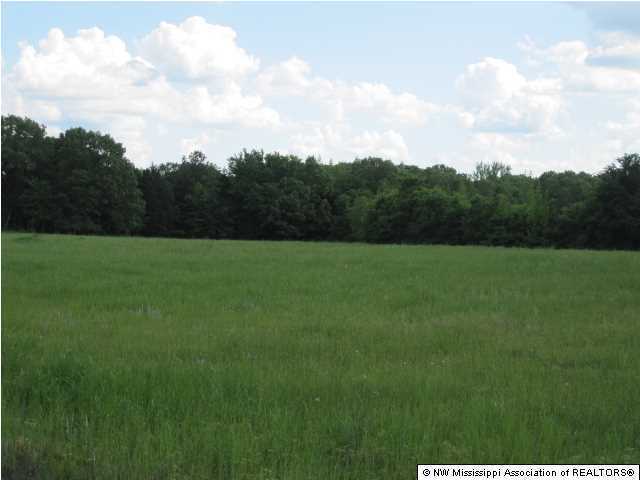 405 South Slayden Road Lamar, MS 38642 - Photo 4 of 20 Additional Photo