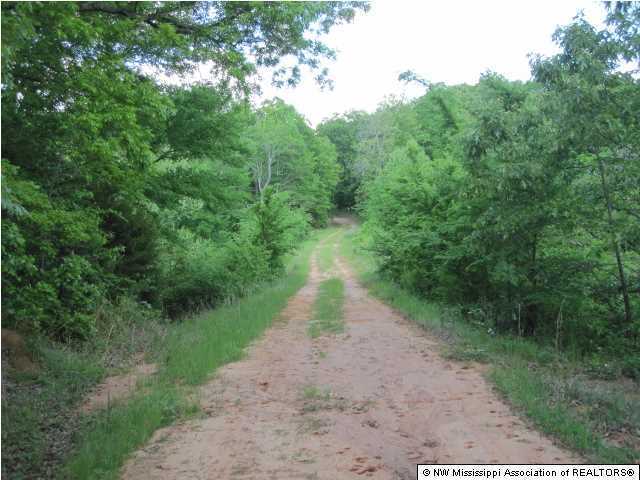405 South Slayden Road Lamar, MS 38642 - Photo 6 of 20 Additional Photo
