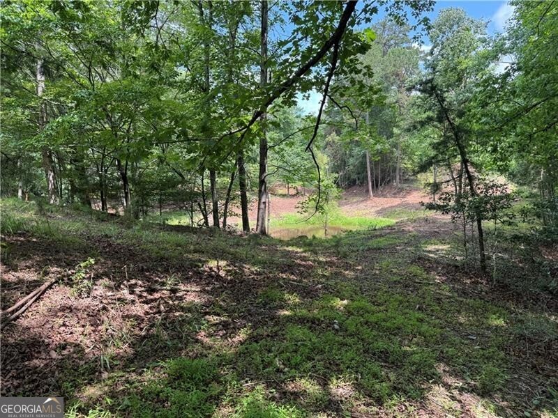 0 Ben Higgins Road Dahlonega, GA 30533 - Photo 19 of 21