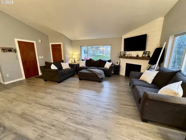 a living room with furniture a fireplace a flat screen tv and potted plant