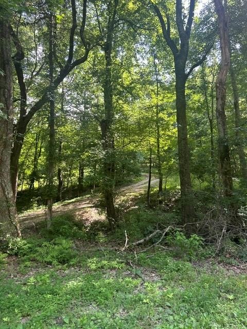 620 Eva Flatwoods Road Eva, TN 38333 - Photo 27 of 40