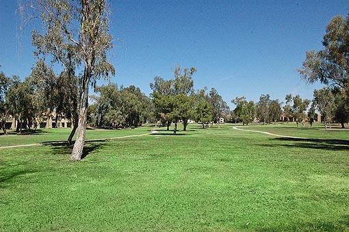 2121 West Royal Palm Road, Unit 2014 Phoenix, AZ 85021 - Photo 2 of 3 Park