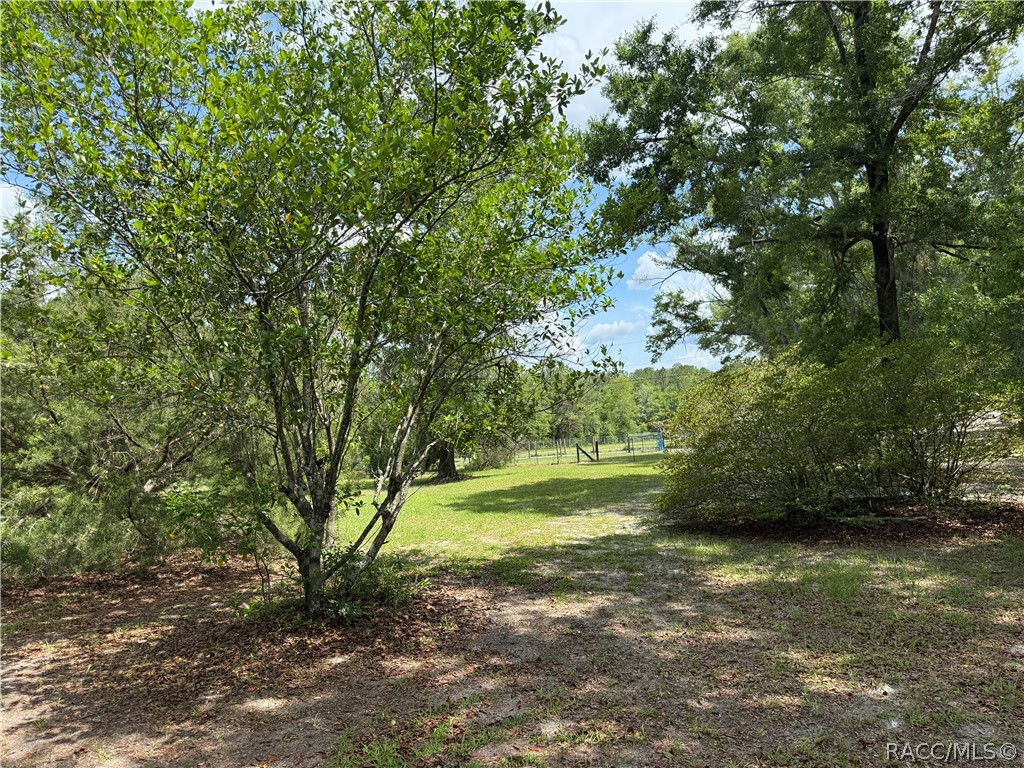 20275 33rd Road Wellborn, FL 32094 - Photo 42 of 57