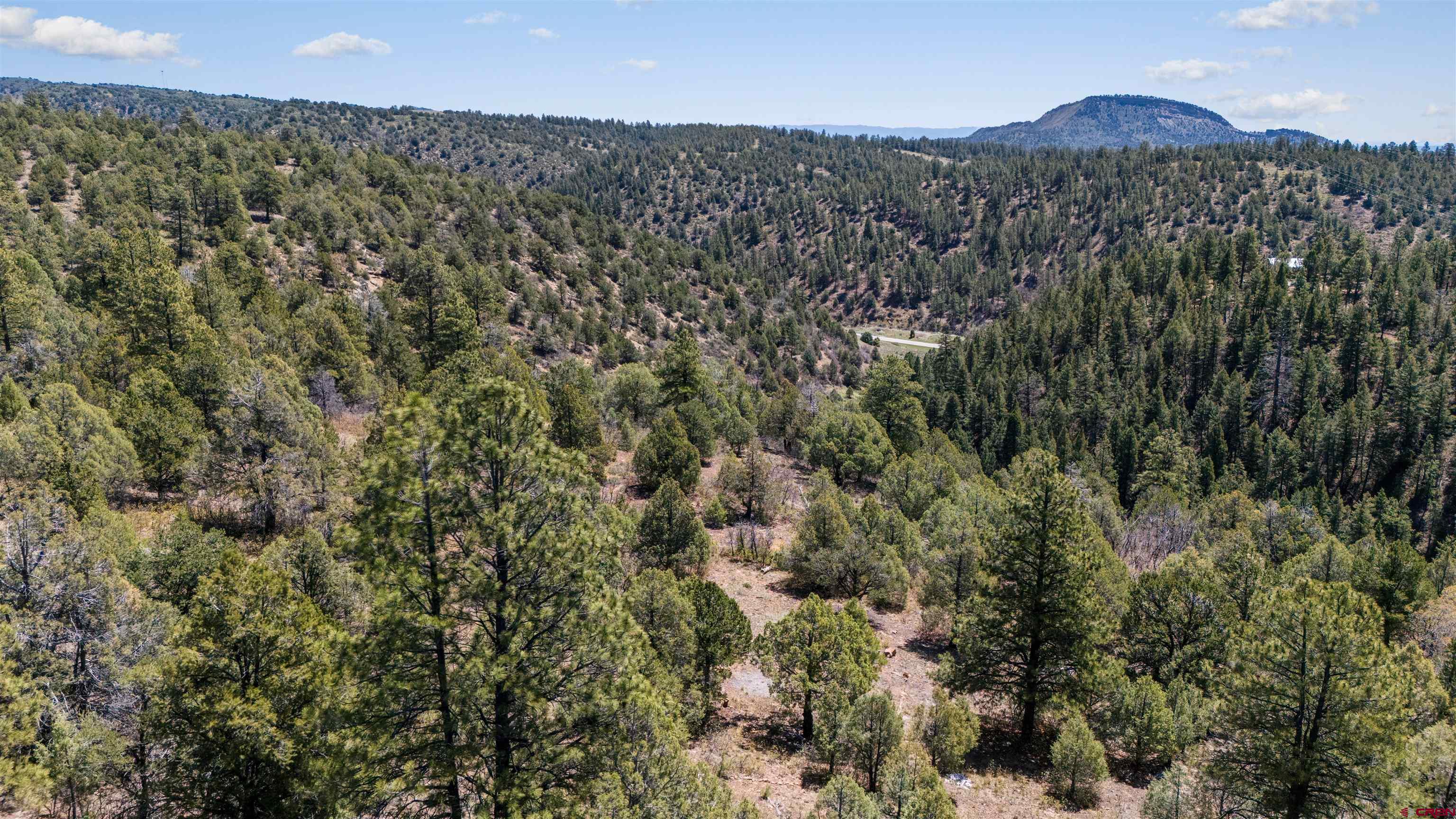 275 Logging Trail Road Durango, CO 81303 - Photo 4 of 6 a view of a city with a mountain
