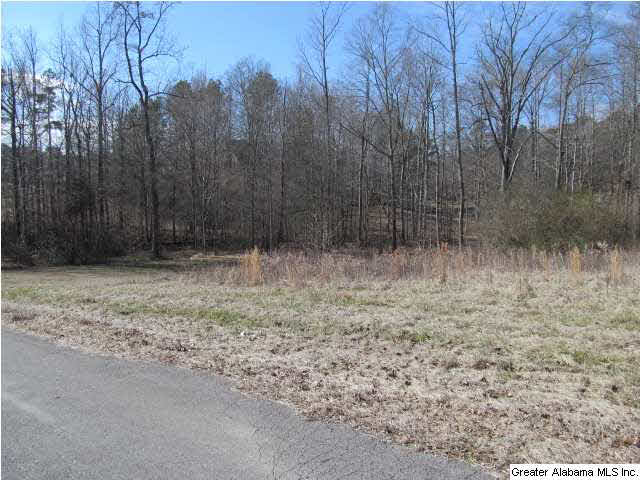 0 Signal Valley Trail Chelsea, AL 35043 - Photo 3 of 9