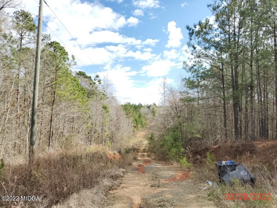 2755 Tribble Road Fort Valley, GA 31030 - Photo 2 of 10 a view of a yard with trees in the background