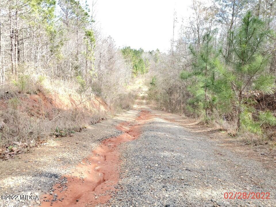 2755 Tribble Road Fort Valley, GA 31030 - Photo 9 of 10 a view of empty yard with trees