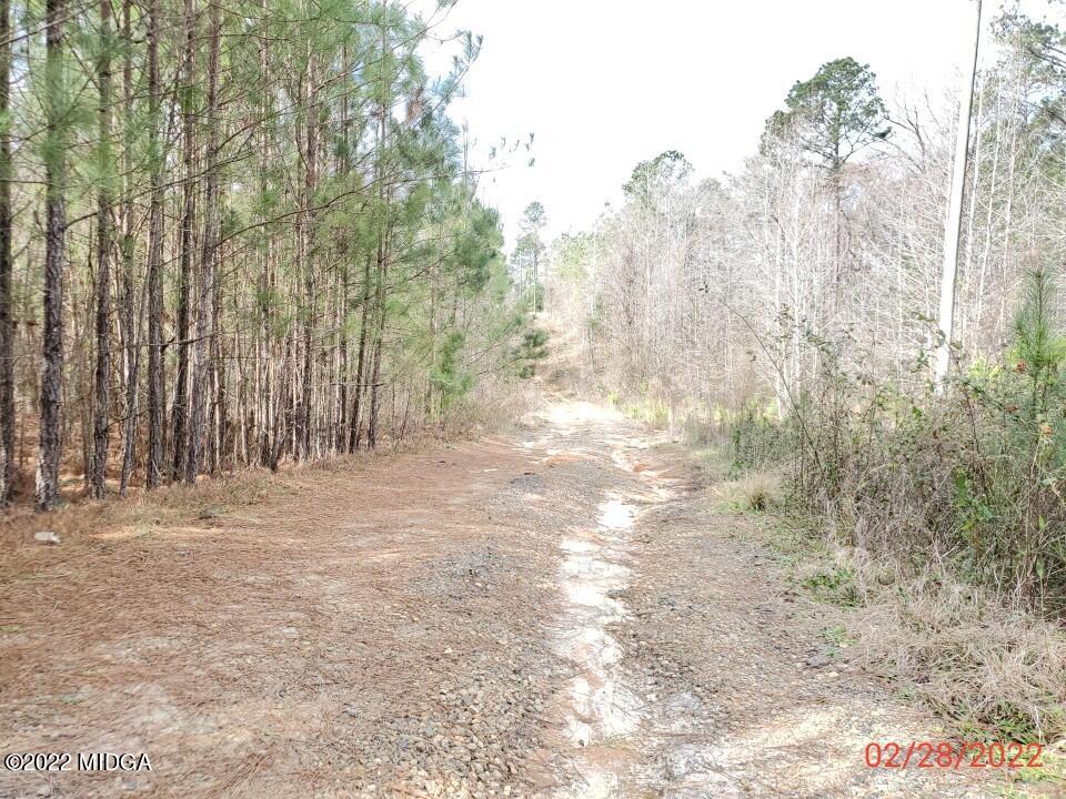 2755 Tribble Road Fort Valley, GA 31030 - Photo 10 of 10 a view of a yard with trees in the background