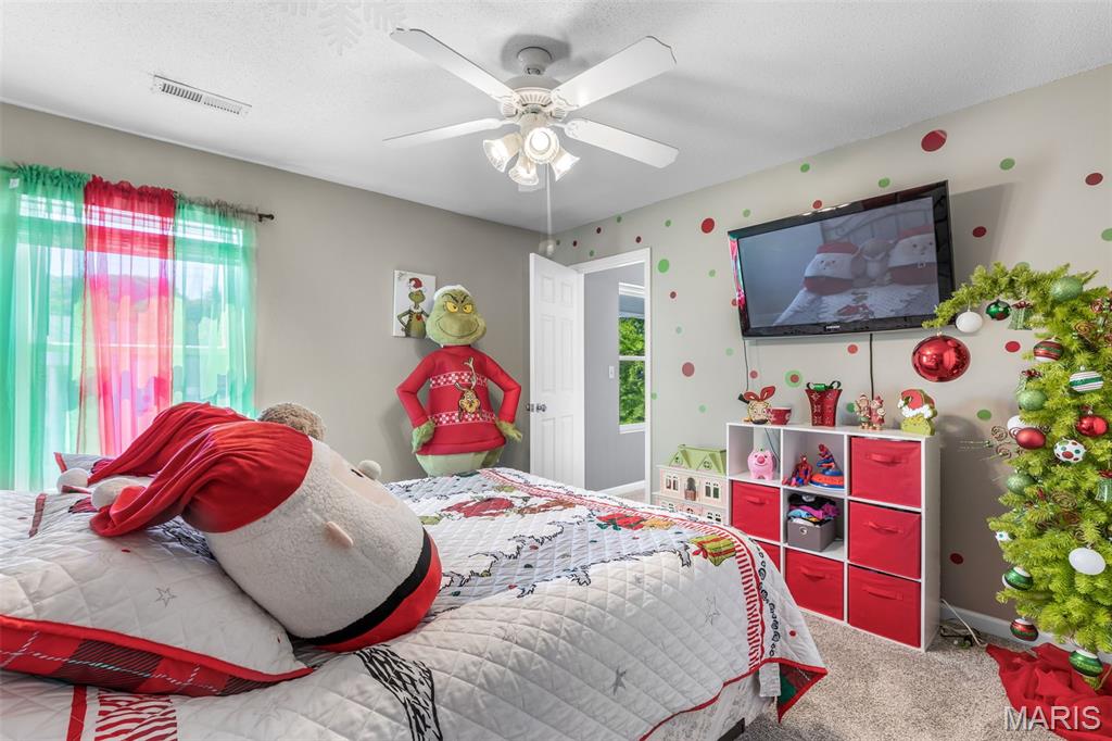 3716 Westbrook Lane Imperial, MO 63052 - Photo 31 of 43