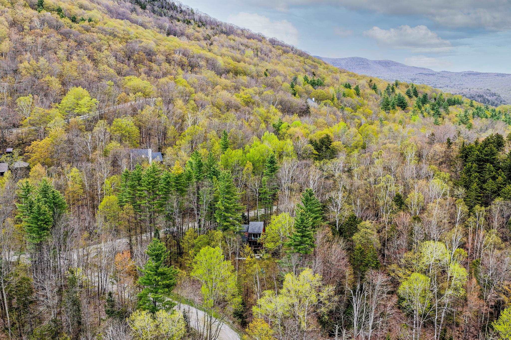 208 Great Hawk Road Rochester, VT 05767 - Photo 42 of 43