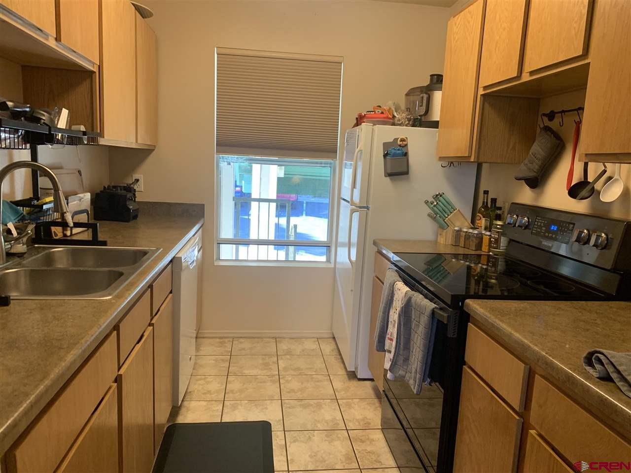 1100 Goeglein Gulch Road, Unit 234 Durango, CO 81301 - Photo 15 of 18