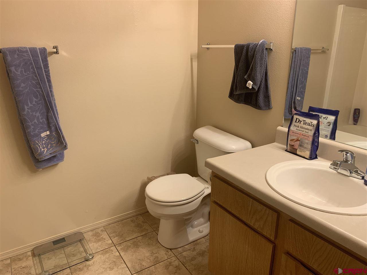 1100 Goeglein Gulch Road, Unit 234 Durango, CO 81301 - Photo 17 of 18