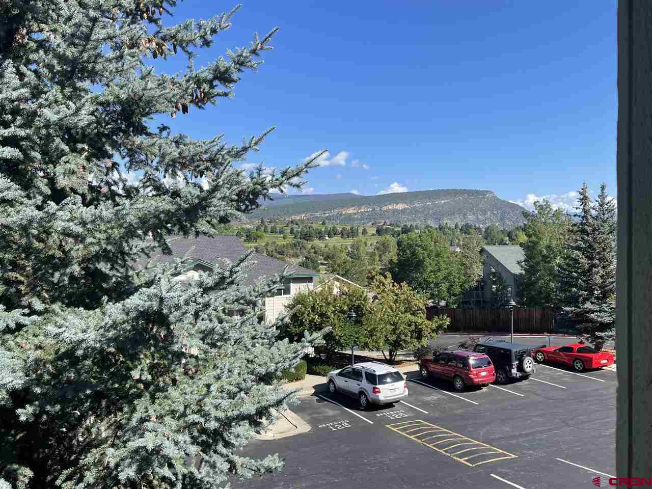 1100 Goeglein Gulch Road, Unit 234 Durango, CO 81301 - Photo 4 of 18