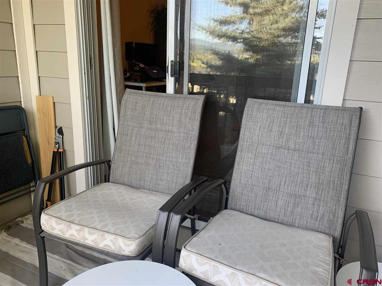 1100 Goeglein Gulch Road, Unit 234 Durango, CO 81301 - Photo 6 of 18