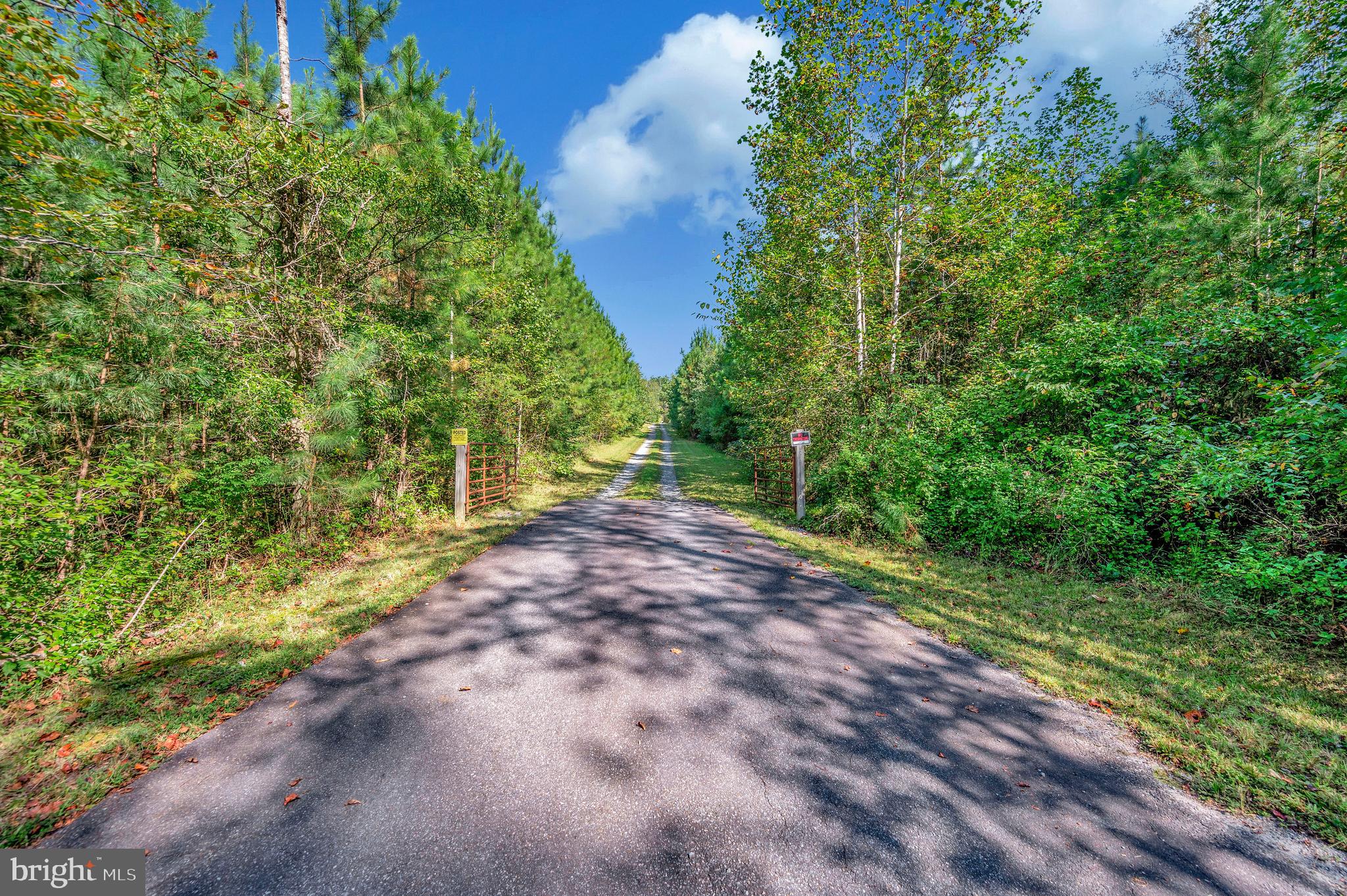 5334 Dickerson Road Partlow, VA 22534 - Photo 5 of 46
