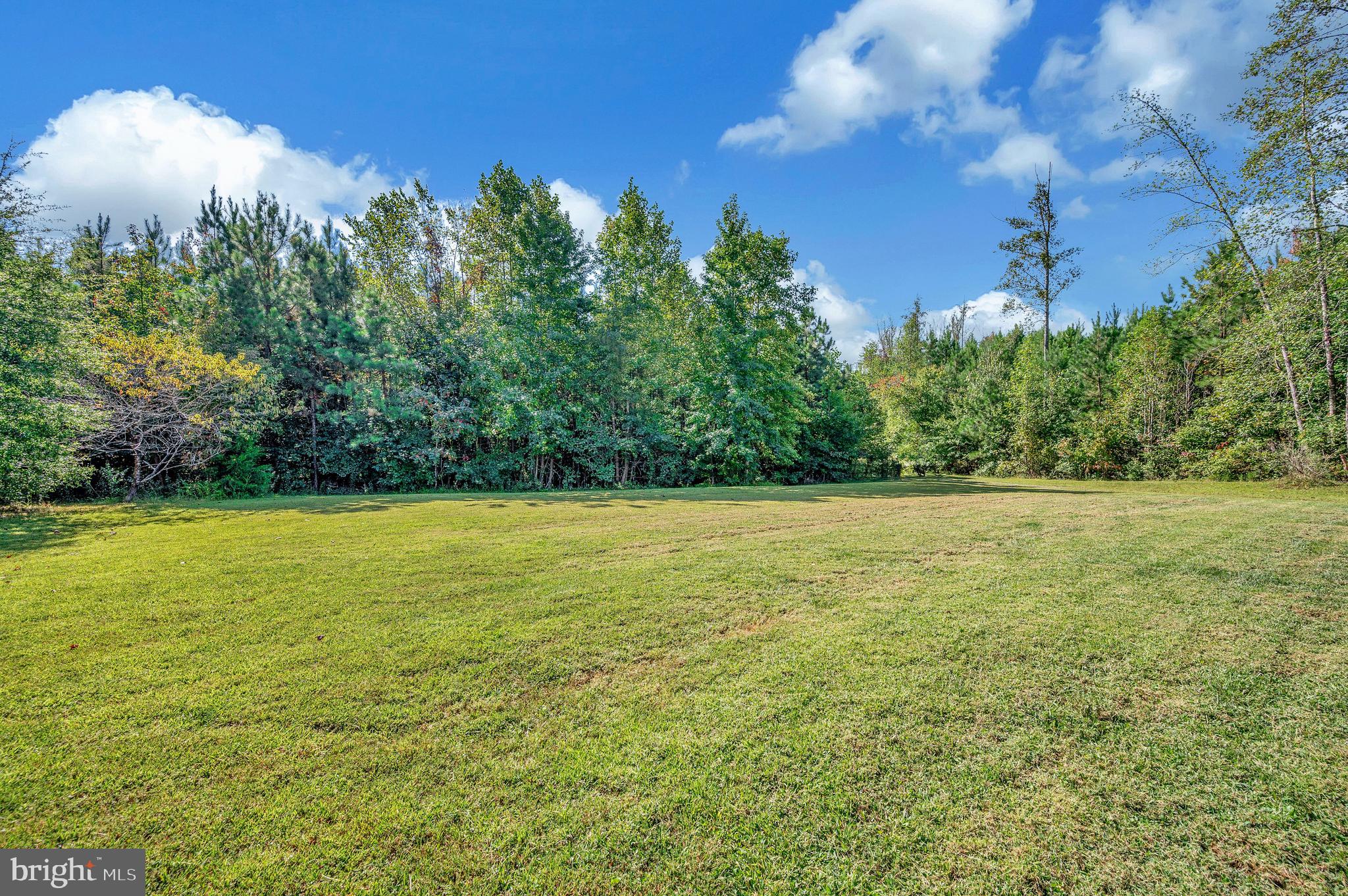 5334 Dickerson Road Partlow, VA 22534 - Photo 7 of 46