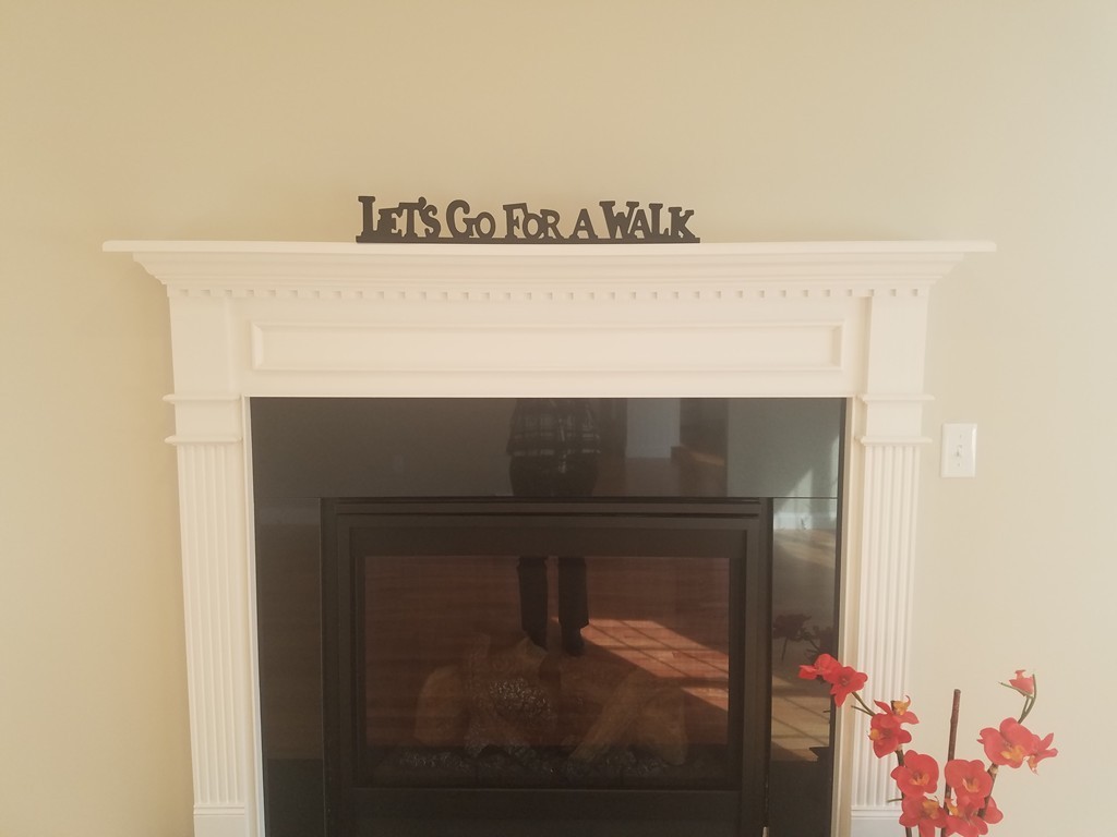 8 Anthony Road North Reading, MA 01864 - Photo 27 of 28 a close view of a fireplace