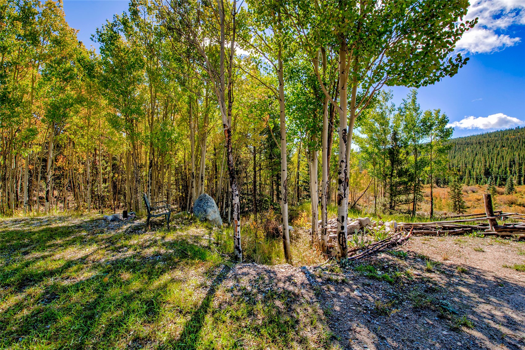 2891 Nugget Road Fairplay, CO 80440 - Photo 8 of 50 Richly treed for peace and quiet