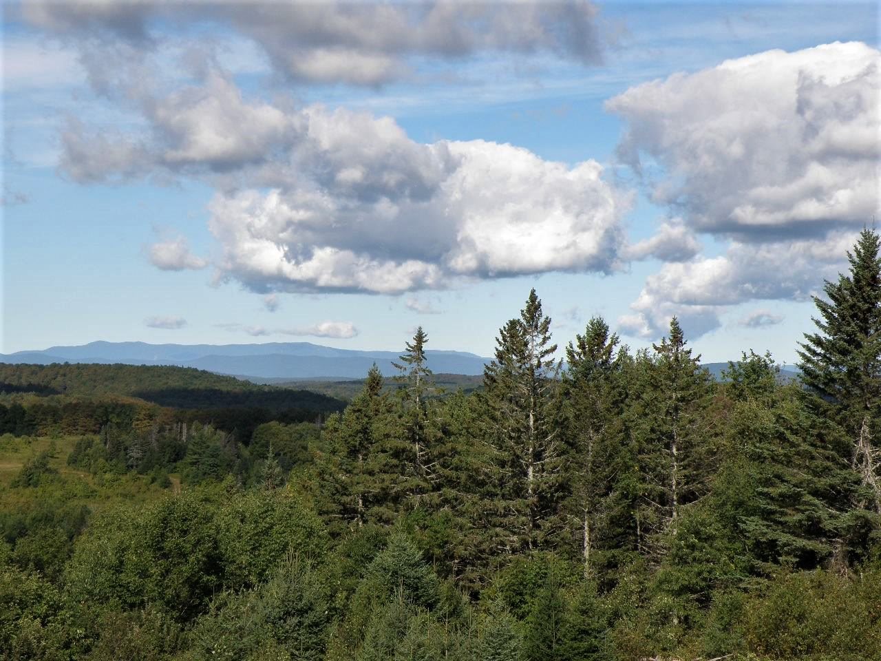 0 West Corinth Road Washington, VT 05675 - Photo 14 of 23