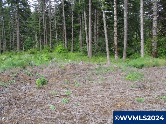 0 Northwest Fairdale Road Yamhill, OR 97148 - Photo 9 of 27