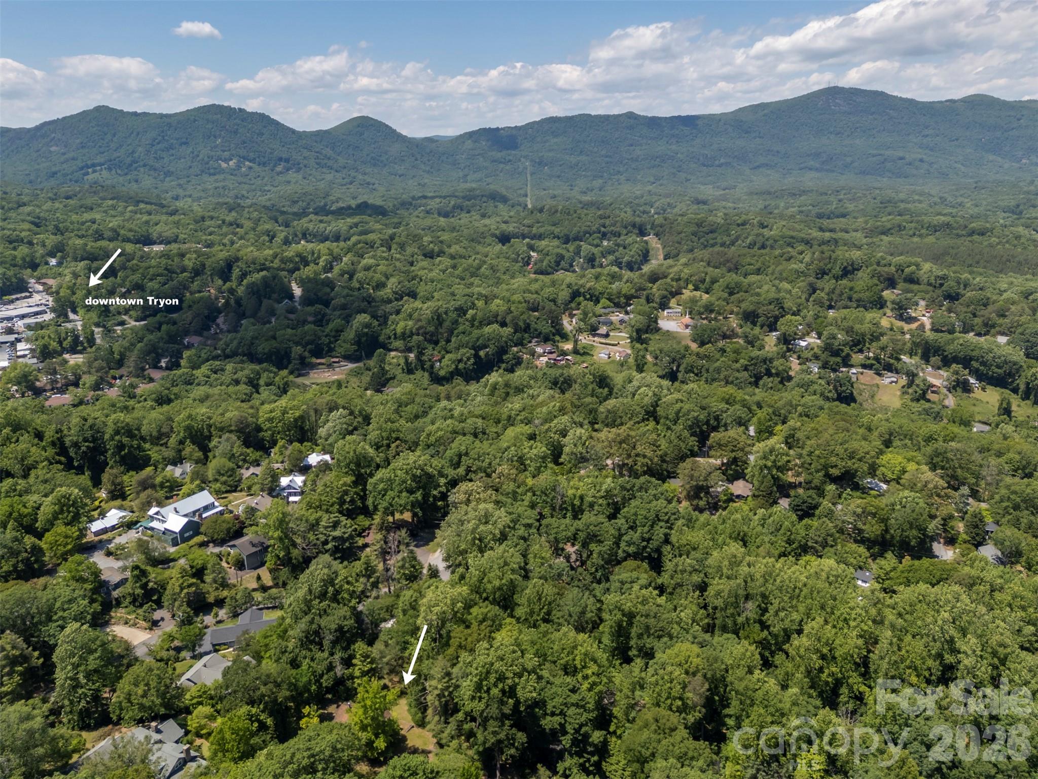 77 1st Street Tryon, NC 28782 - Photo 19 of 20 an aerial view of houses covered in trees