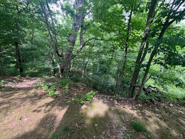 2795 East 28th Road Marseilles, IL 61341 - Photo 11 of 55