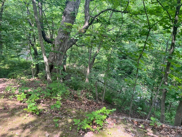 2795 East 28th Road Marseilles, IL 61341 - Photo 12 of 55