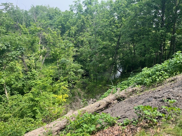 2795 East 28th Road Marseilles, IL 61341 - Photo 13 of 55