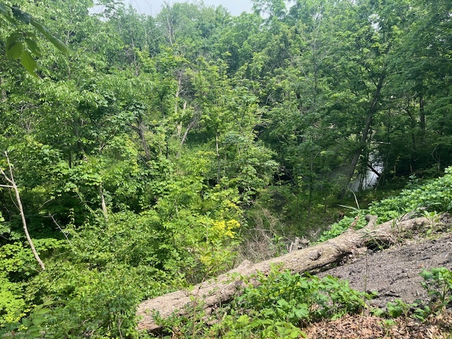 2795 East 28th Road Marseilles, IL 61341 - Photo 14 of 55