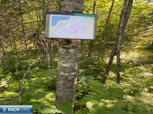 Tbd Tbd Shaw Road Hibbing, MN 55746 - Photo 2 of 9