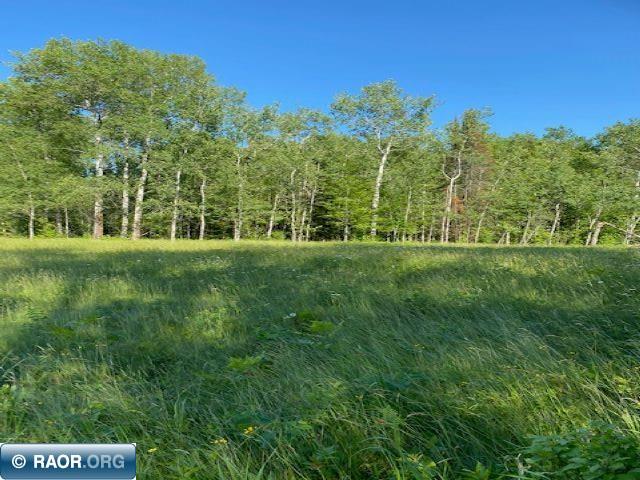 Tbd Tbd Shaw Road Hibbing, MN 55746 - Photo 4 of 9