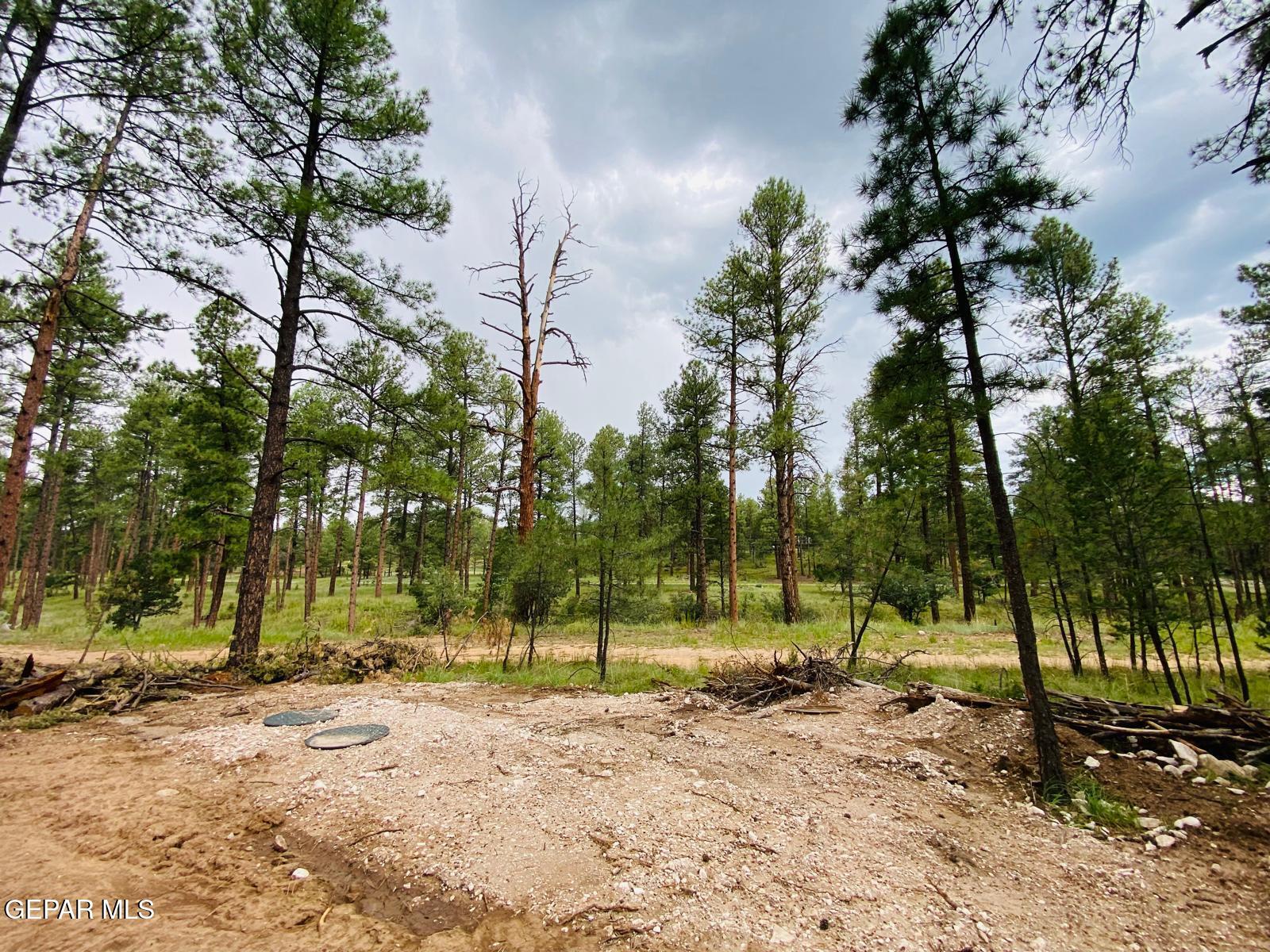Septic tank ready for two RVs