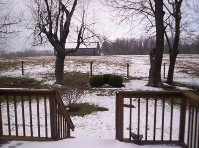 115 Robyn Drive Winchester, KY 40391 - Photo 3 of 5 Back yard that looks onto open farm land