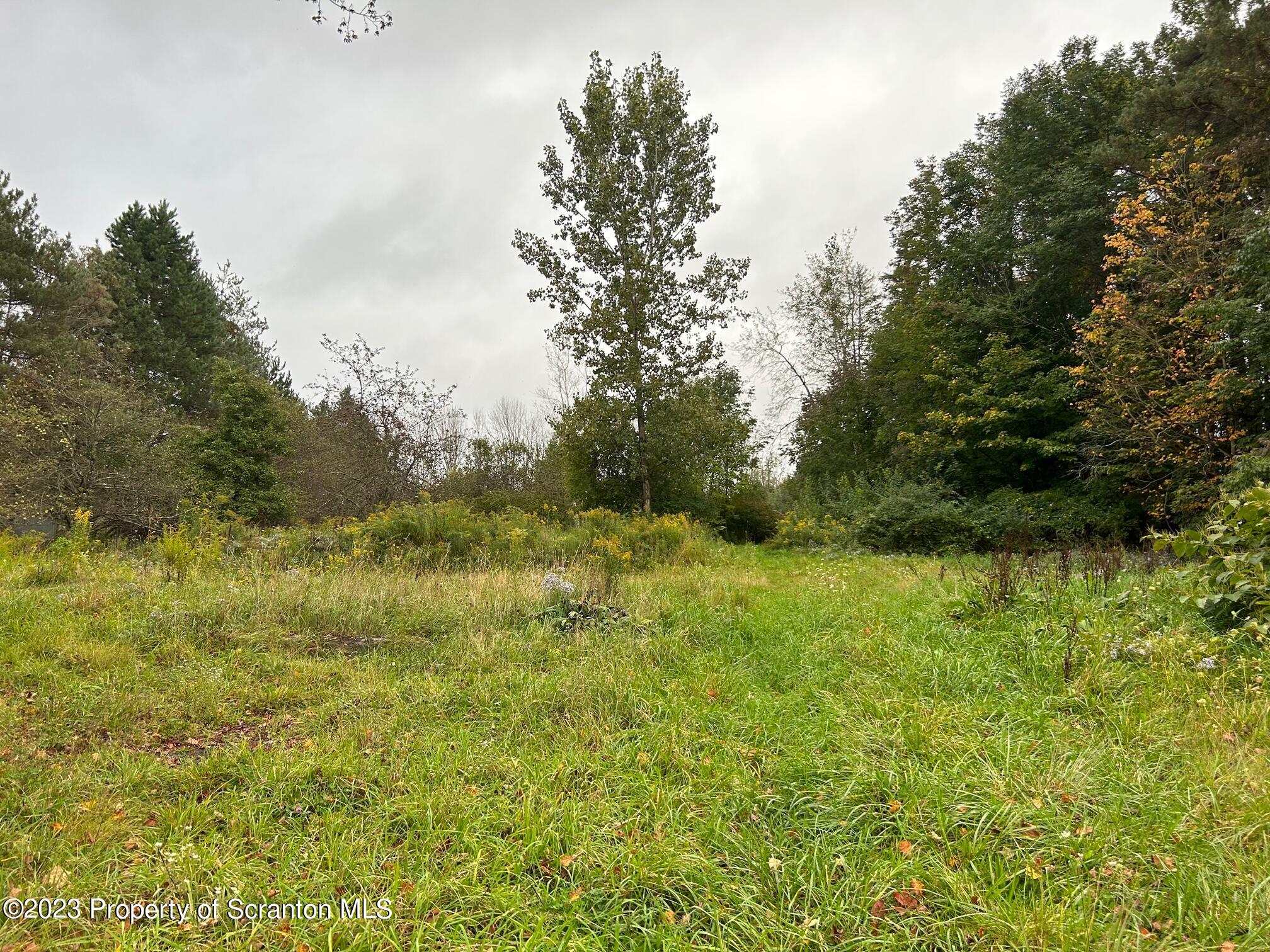 136 Carbondale Road Waymart, PA 18472 - Photo 2 of 6 a view of a yard with a tree