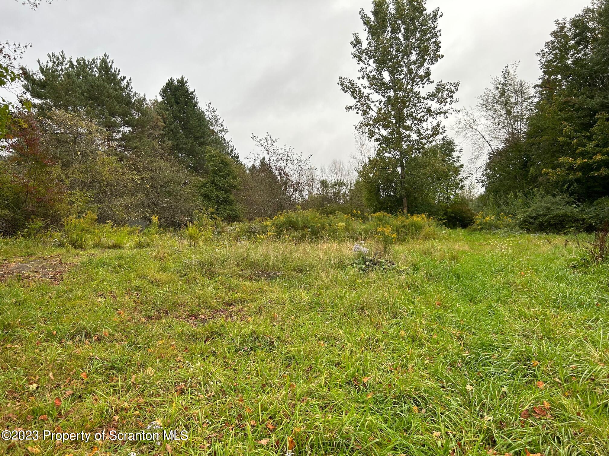 136 Carbondale Road Waymart, PA 18472 - Photo 3 of 6 a view of outdoor space and yard