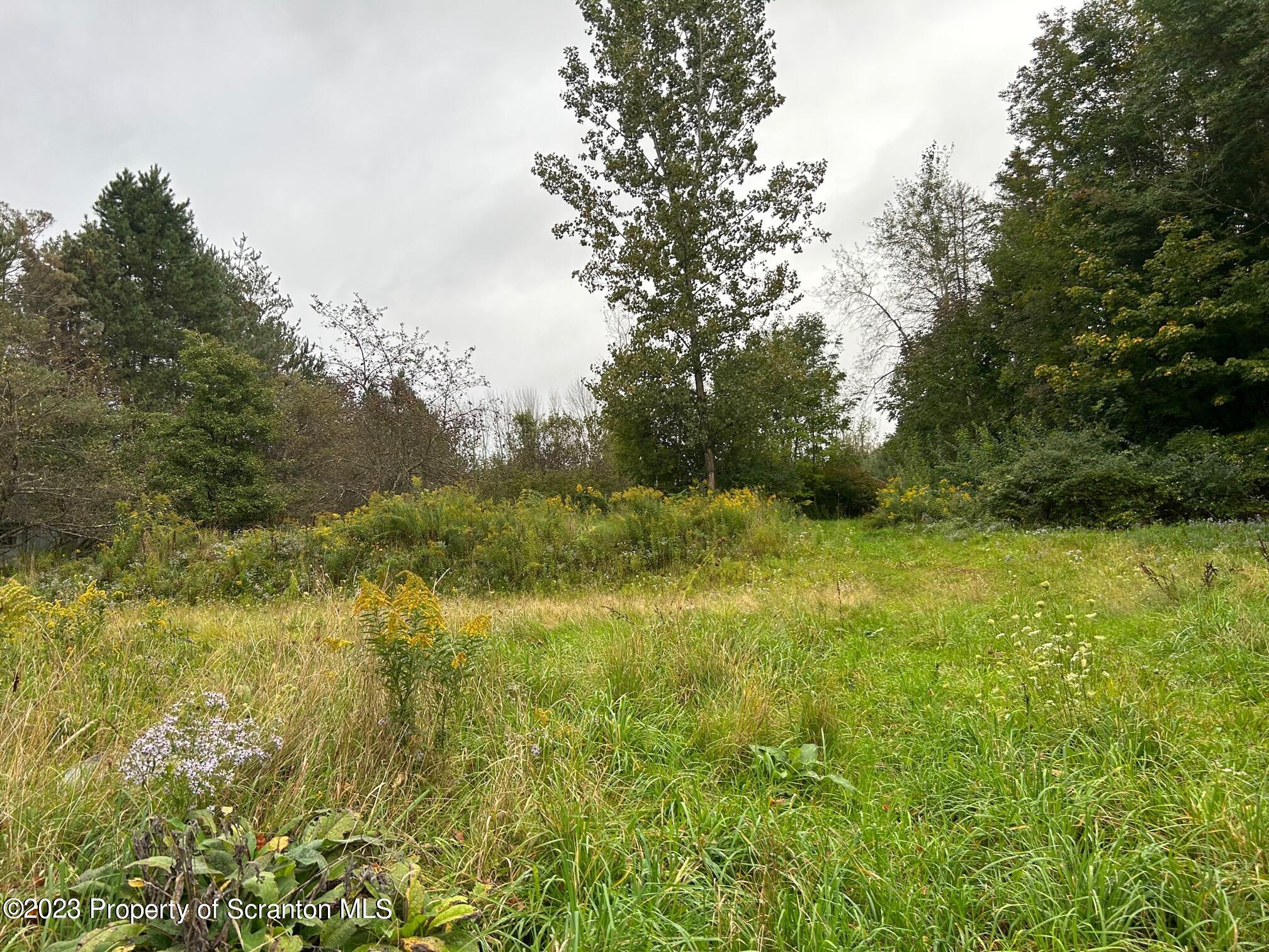 136 Carbondale Road Waymart, PA 18472 - Photo 4 of 6 a view of outdoor space and yard