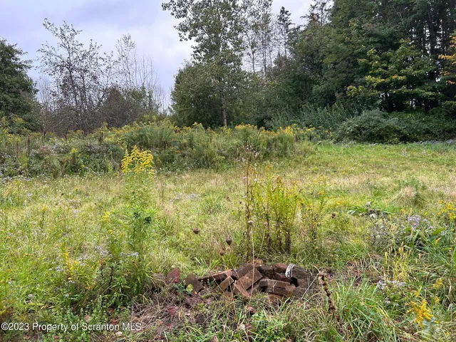 a view of a forest with a houses