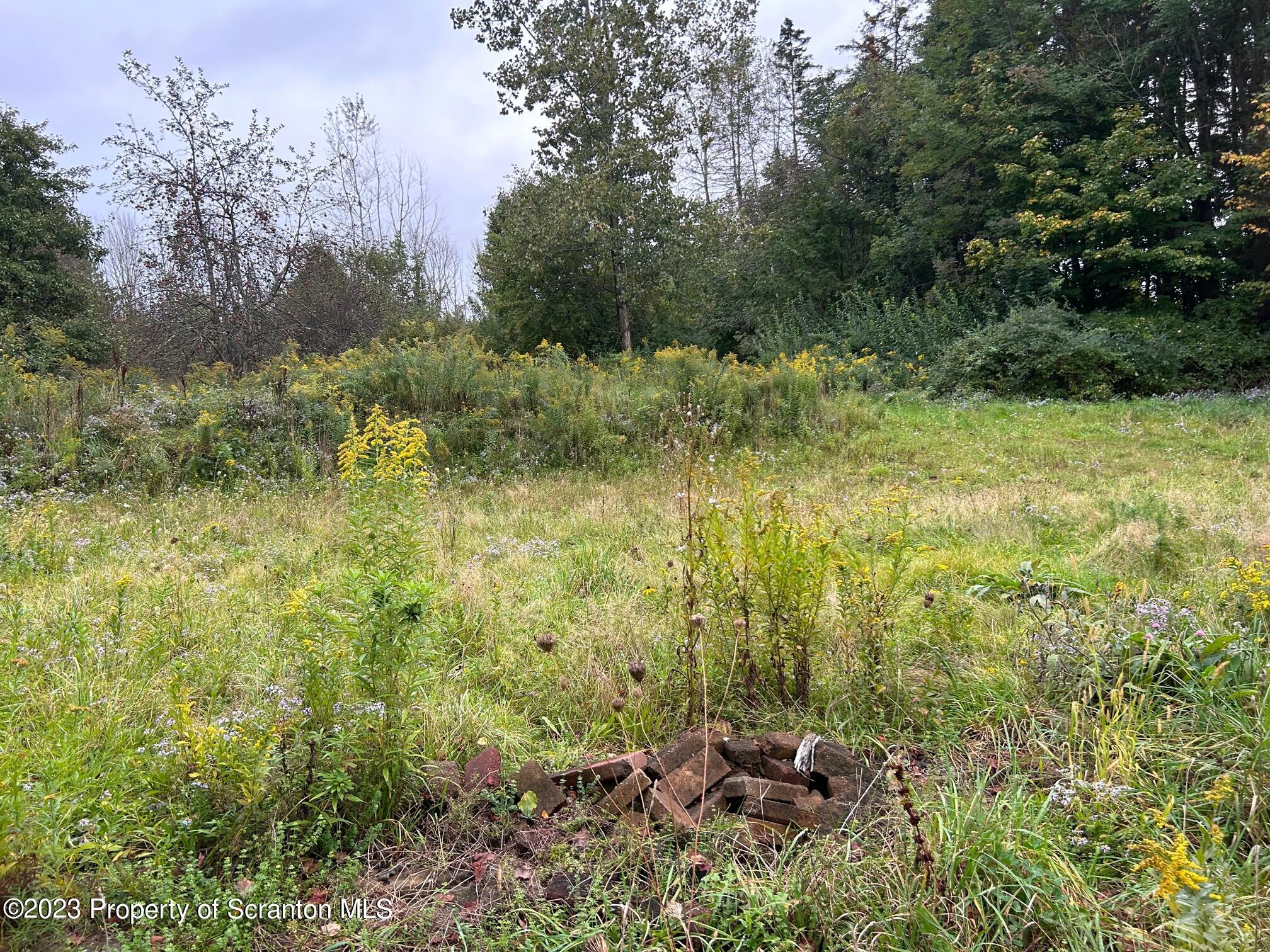 136 Carbondale Road Waymart, PA 18472 - Photo 5 of 6 a view of a forest with a trees