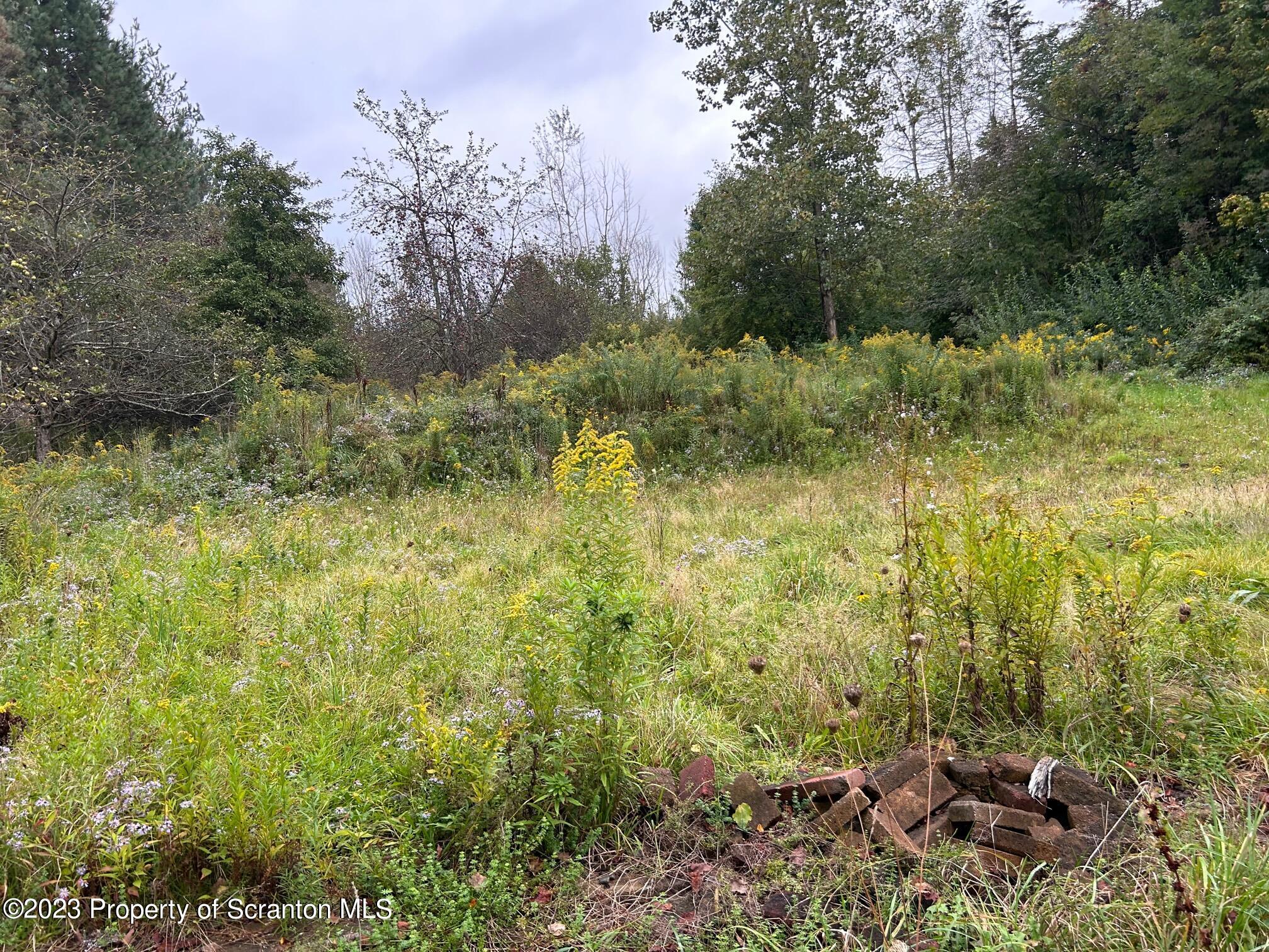 136 Carbondale Road Waymart, PA 18472 - Photo 6 of 6 a view of a forest with a houses