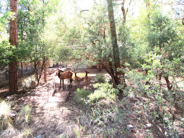 a view of a outdoor space
