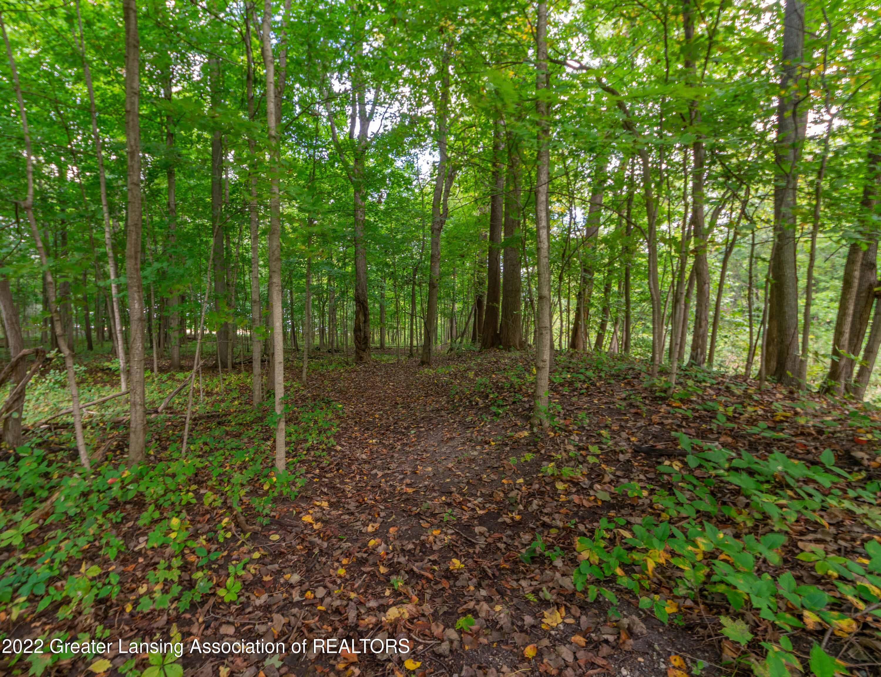6480 West Stoll Road Lansing, MI 48906 - Photo 70 of 99 Stoll-68