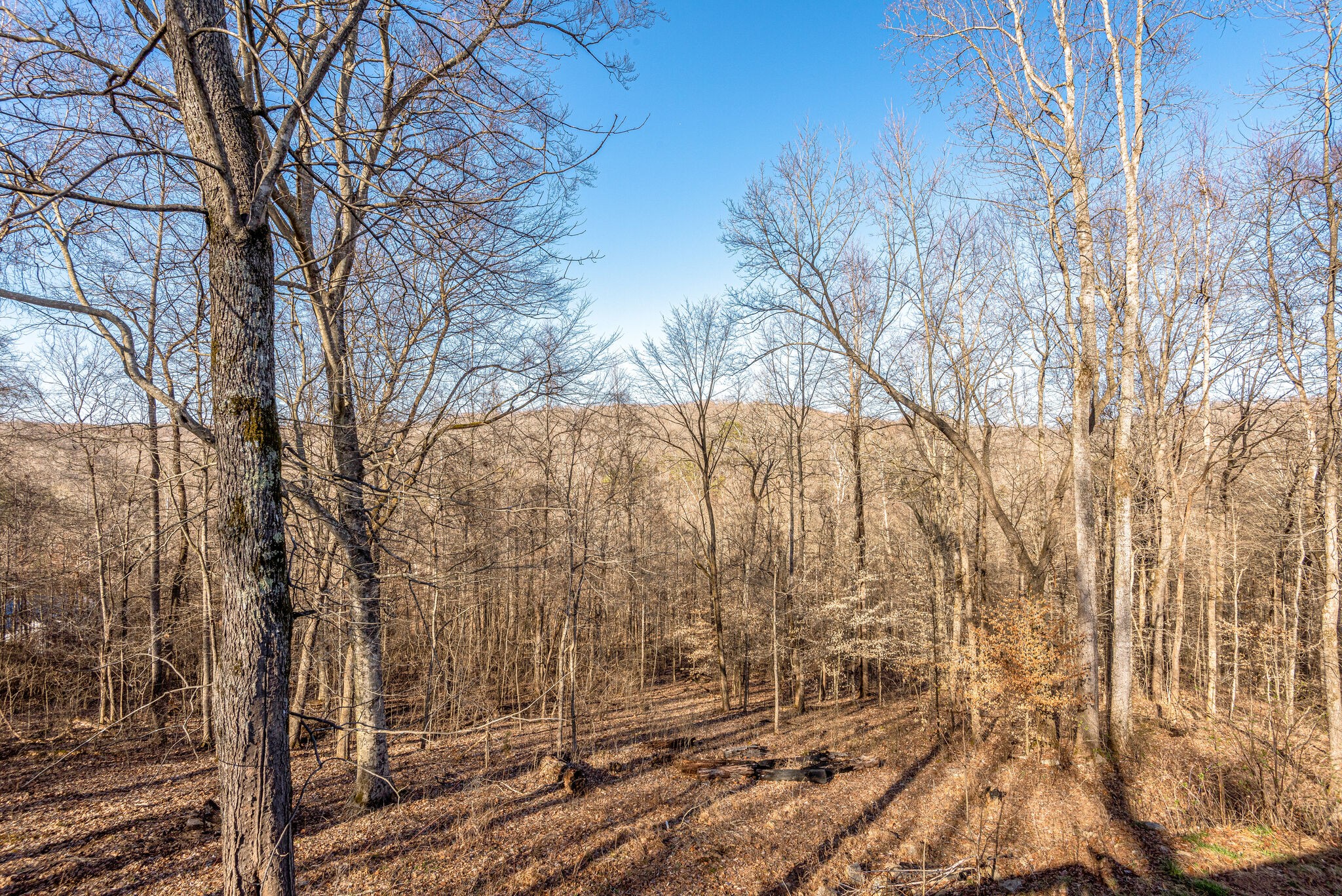 1121 Deer Ridge Road Kingston Springs, TN 37082 - Photo 26 of 27 a view of a yard