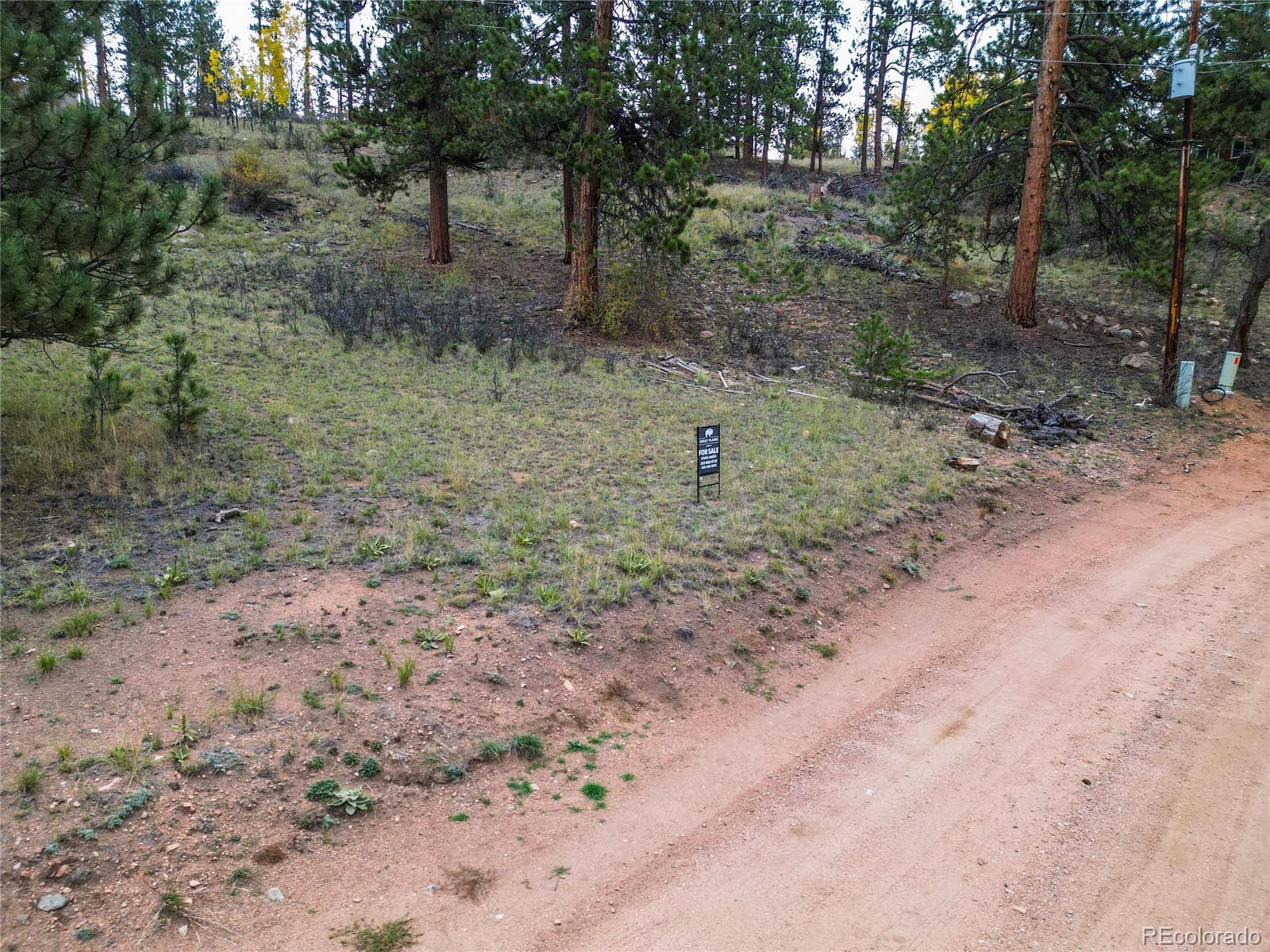 33247 Jenifer Road Pine, CO 80470 - Photo 7 of 20 Gallery Image 7