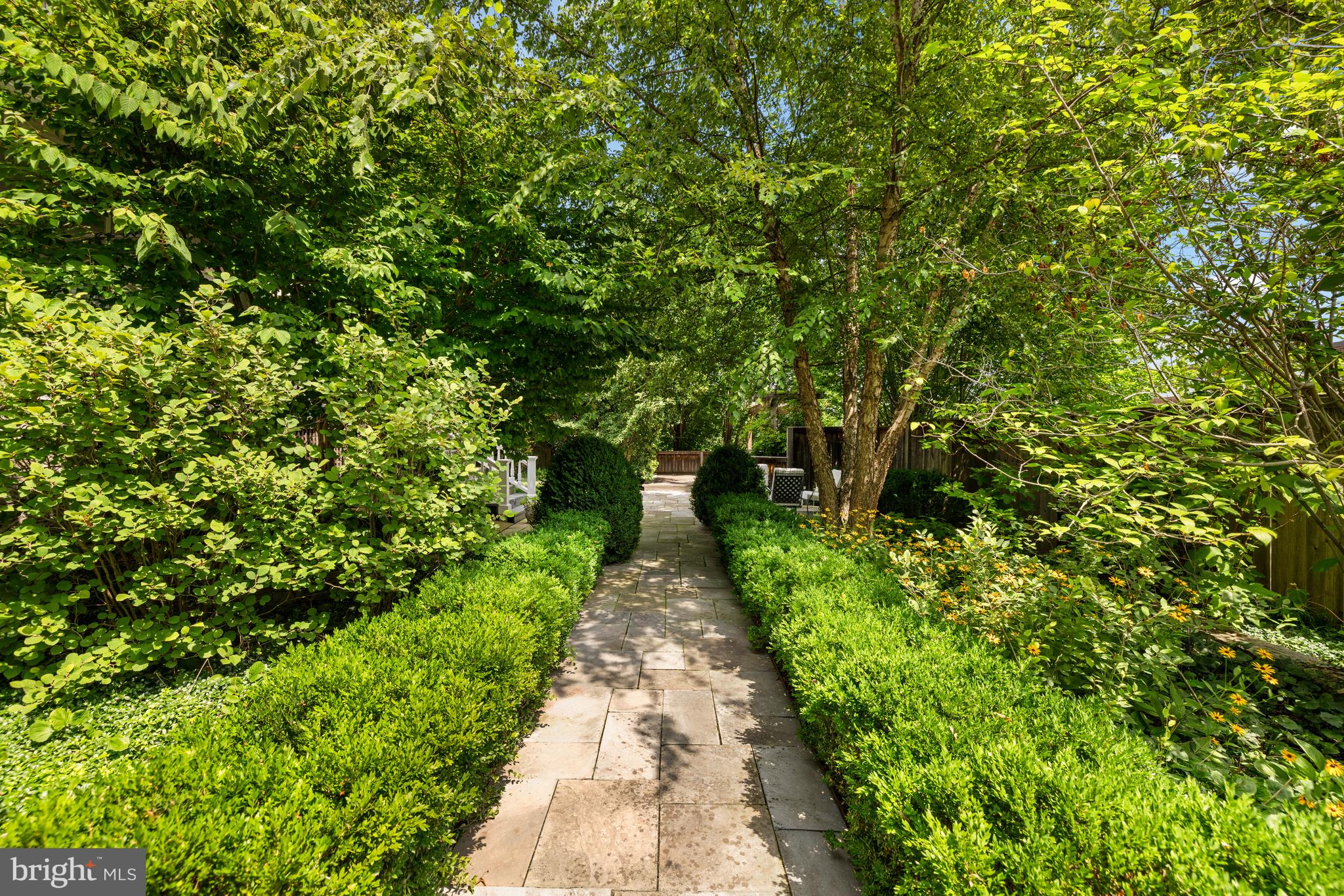 2955 Newark Street Northwest Washington, DC 20008 - Photo 18 of 47 a view of a pathway both side of yard