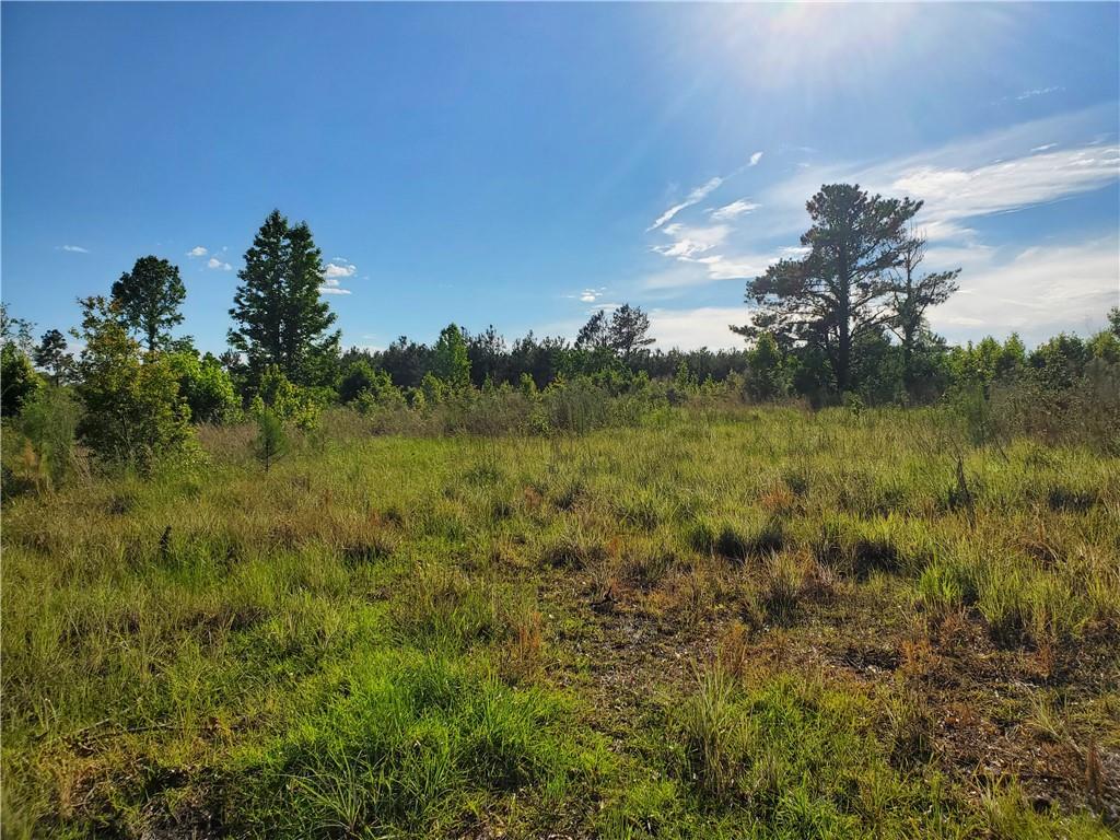 0 Townsley Road Deridder, LA 70634 - Photo 1 of 3 Gallery Image 1
